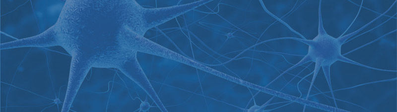 Bild von Synapsen als Metapher fuer die Verlinkung